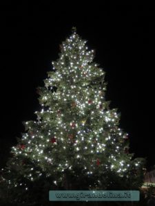 Mercatino di Natale di Bolzano in Piazza Walther