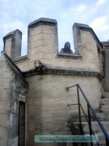 Avignone il Palazzo dei Papi