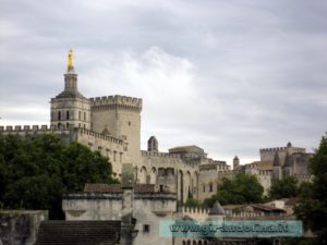 La città di Avignone vista dal Ponte di St Benezet