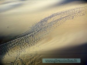 Deserto Sahara Egitto