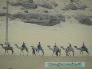 Deserto Sahara cammellata Egitto