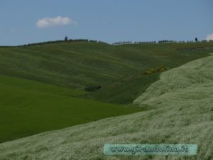 ValD'Orcia Panorama
