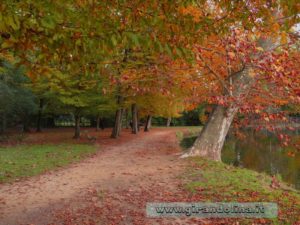 Un sentiero del parco di Villon Puccini a Pistoia