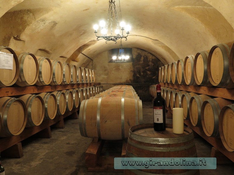 Le Cantine della Tenuta la Gatta