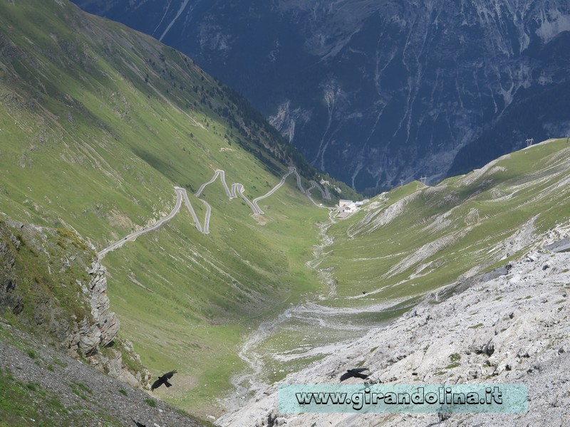 Il Passo dello Stelvio