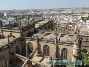 La Cattedrale di Siviglia,salita sulla Giralda