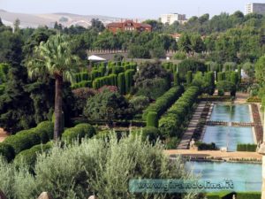 Cordova Alcazar de los Reyes Cristianos panorama sui giardini