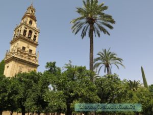 Cordova , la Mezquita e il suo Minareto