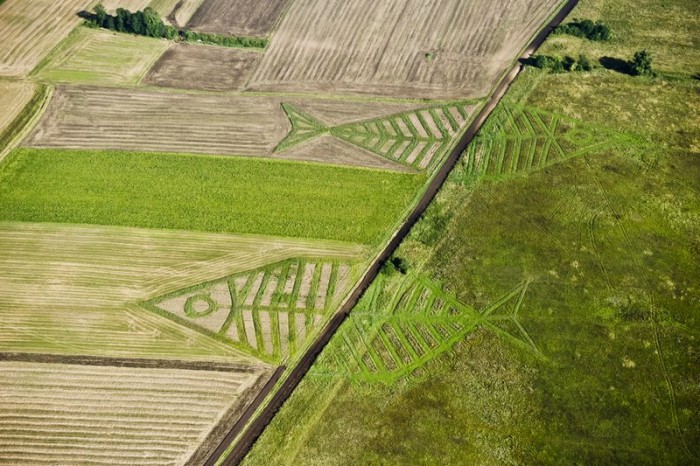 landart festiwal_free-flow (ph google)