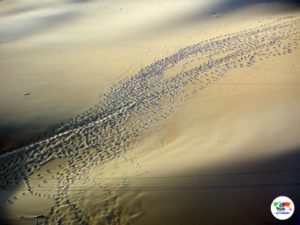Deserto del Sahara, Egitto