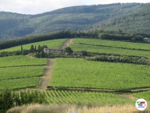 Campagne Santomato, Pistoia
