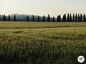 Val d'Orcia- Toscana