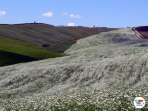 Val d'Orcia- Toscana