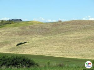 Val d'Orcia- Toscana
