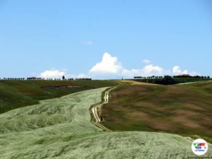 Val d'Orcia- Toscana