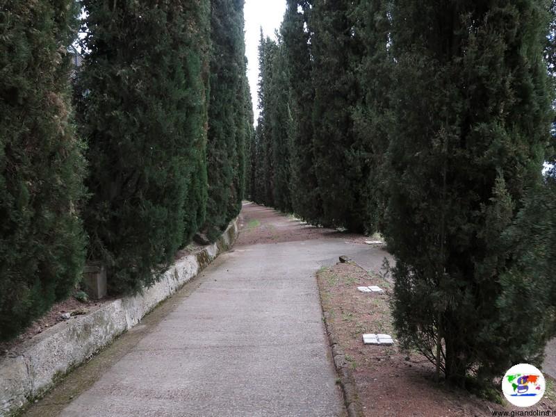 L' Orto Botanico di Siena