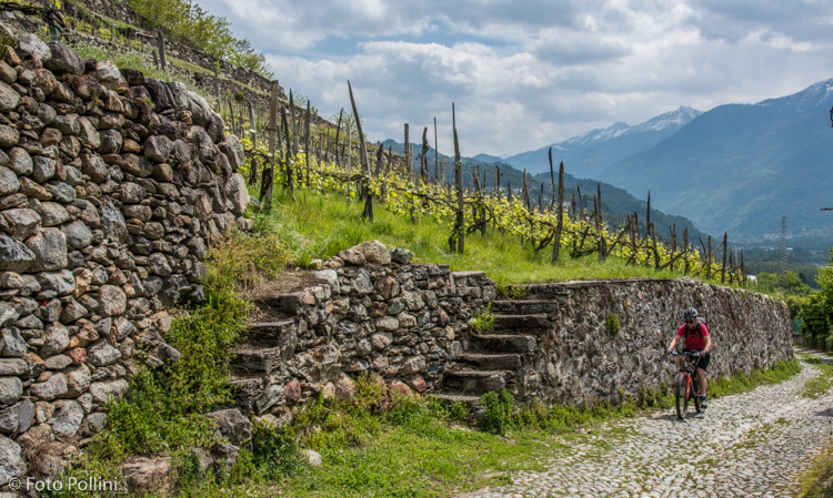 Rent a Bike Valtellina ( Credits Foto Pollini)