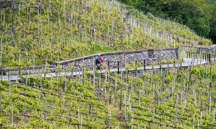 Rent a Bike Valtellina ( Credits Foto Pollini)