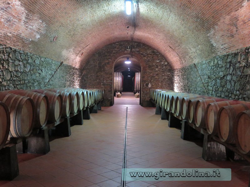 Sala delle botti Fattoria Casalbosco Santomato Pistoia