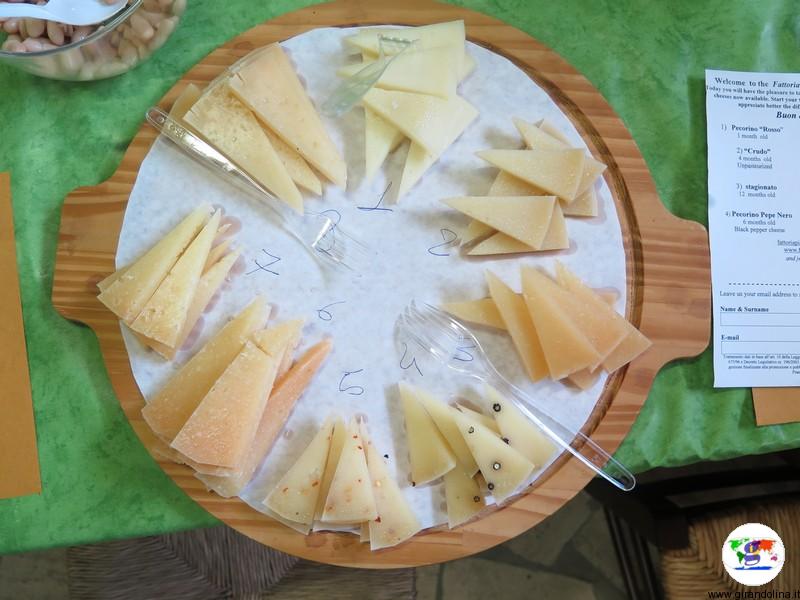 Una tipica degustazione di formaggi alla Fattoria PianPorcino