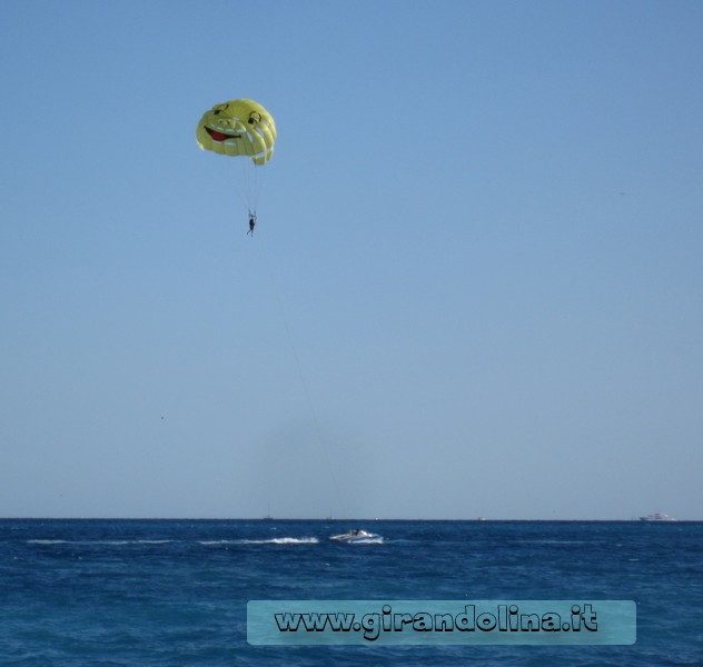 Girandolina in volo sull 'acqua