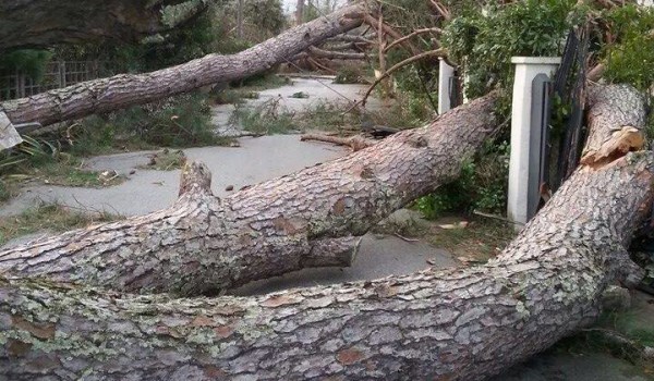 Le strade di Quarrata ( Photo credits Il tirreno geolocal)