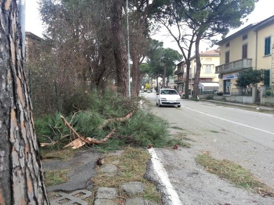 Le strade di Pistoia ( Photo credits Il tirreno geolocal)