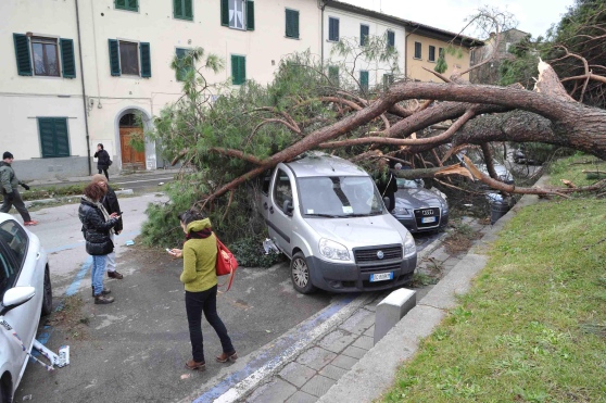 Piazza del Carmine danneggiata ( photo credits pagina facebook Meteo Pistoia)