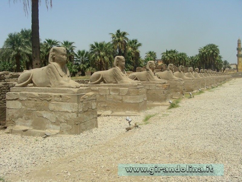 Tempio Luxor Sfingi Egitto