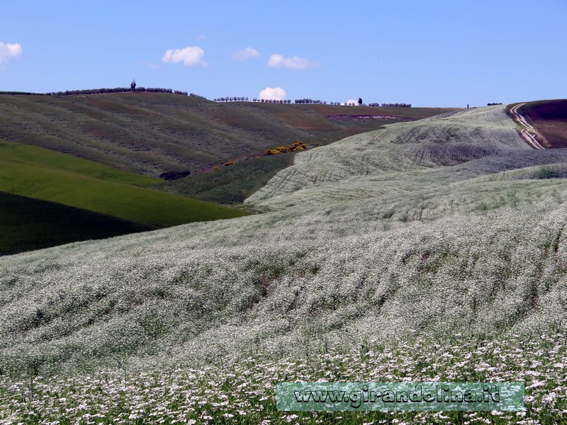 Val d'Orcia - Panorama