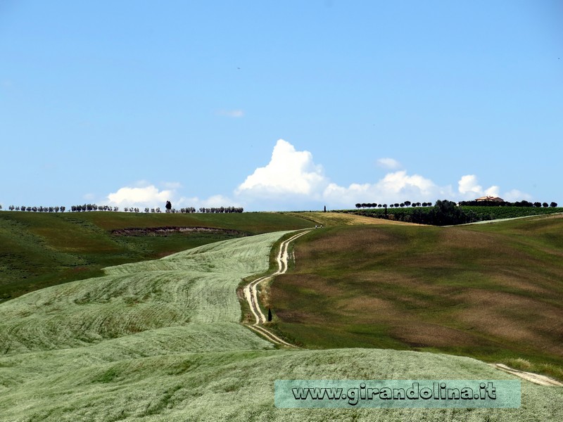 Le destinazioni più colorate in primavera,le colline della Val D'Orcia