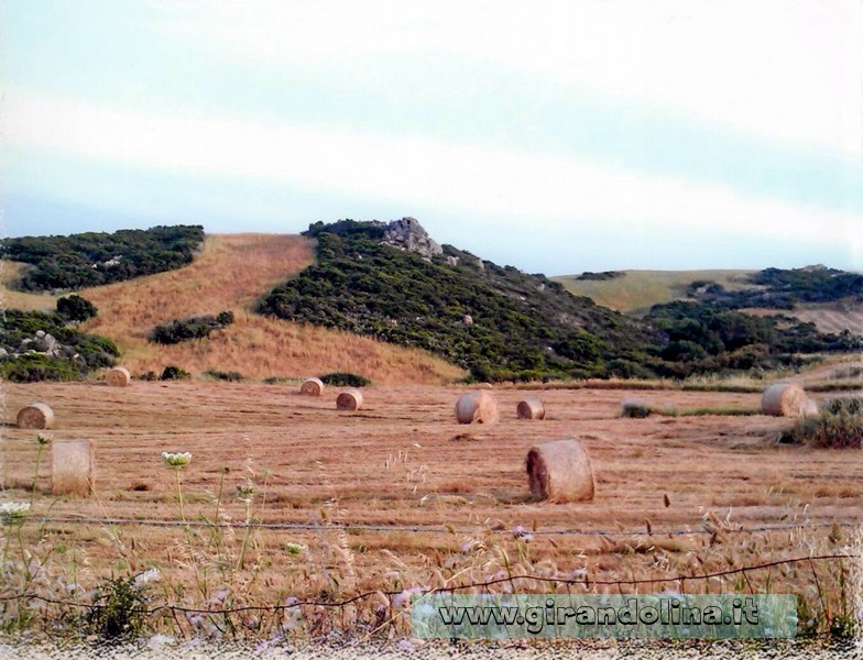 Sardegna il panorama della terra sarda