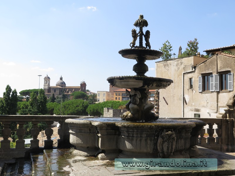 Viterbo Fontana Palazzo Priori