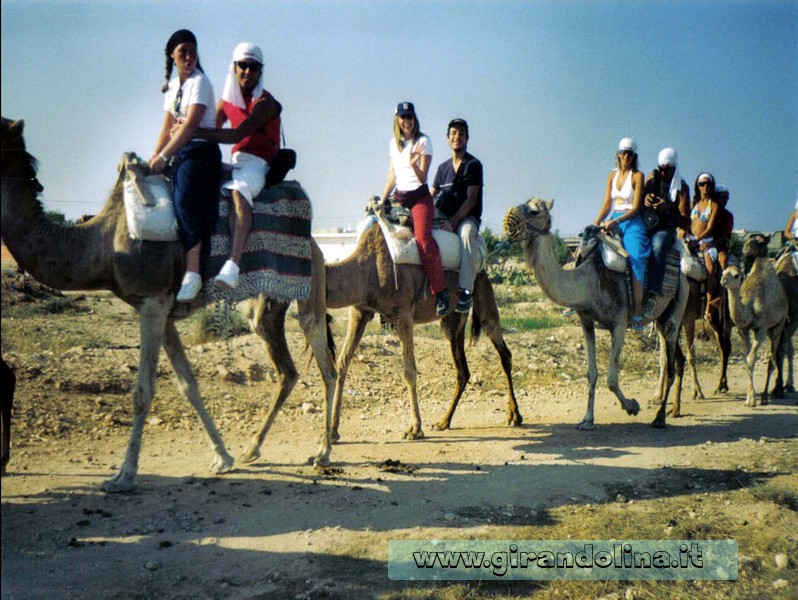 La Cammellata a Monastir