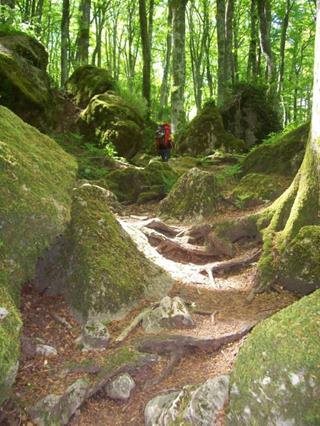 Percorso di Trekking