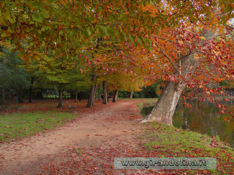  Estate di San Martino Un sentiero del parco di Villon Puccini a Pistoia