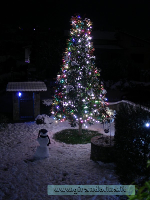 Il nostro Albero di Natale del giardino, in una nevicata di qualche anno fa