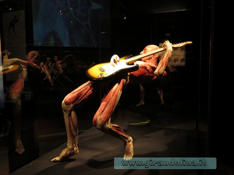 Body Worlds Firenze