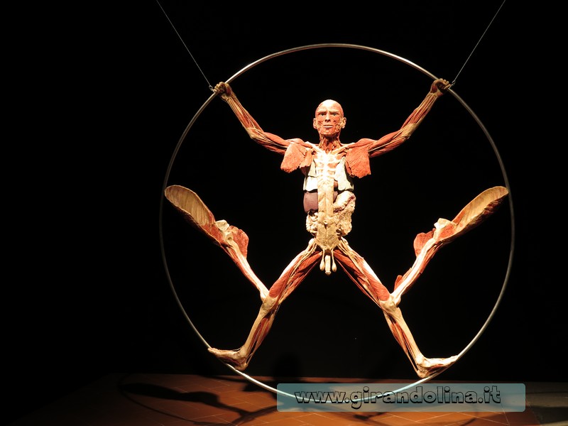 Body Worlds Firenze