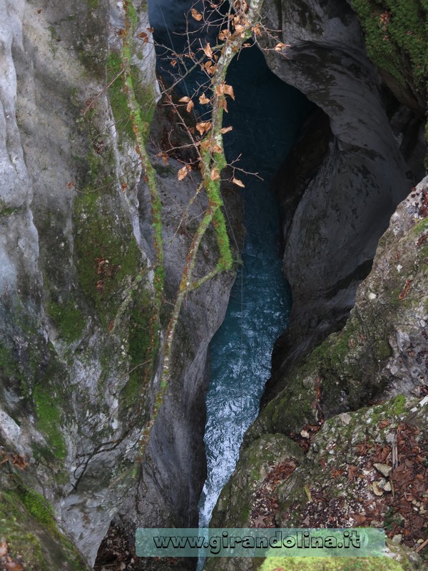 La gola del Kamniška Bistrica
