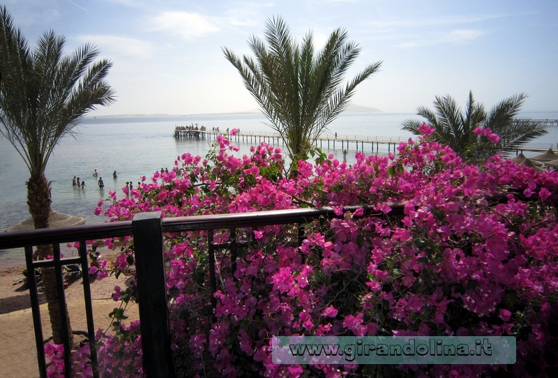La veduta del Mar Rosso di Sharm El Sheikh dalla terrazza dell' Hotel