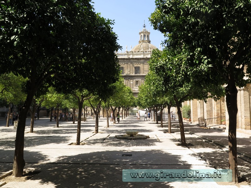 Cattedrale di Siviglia e il Patio de los Naranjios