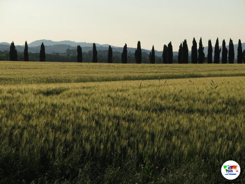 Tour della Val d'Orcia in auto