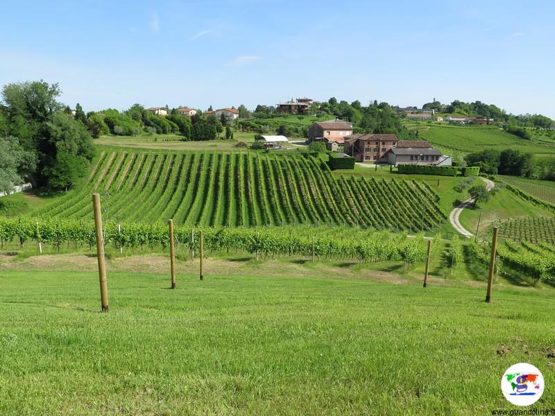 Valdobbiadene, la Vigna di Sarah, il panorama visto dalle botti