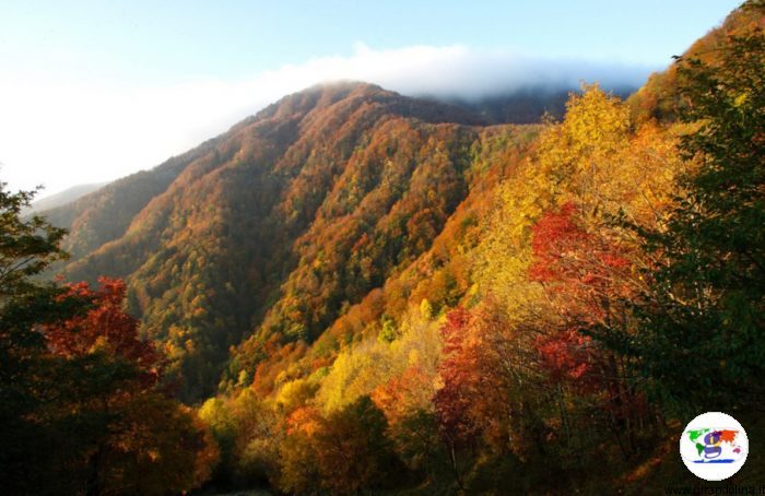 Foliage autunnale