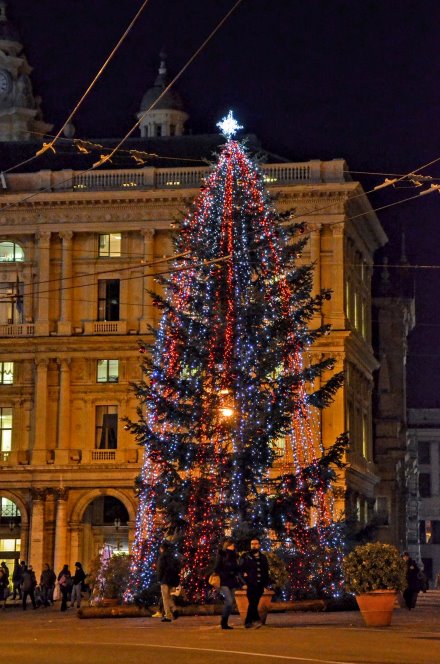 Alberi di natale italiani : L’albero di Natale di Genova © Genova città digitale