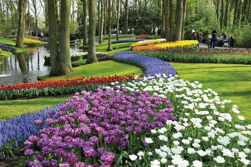 I 10 giardini più belli d'Europa, Keukenhof, Olanda