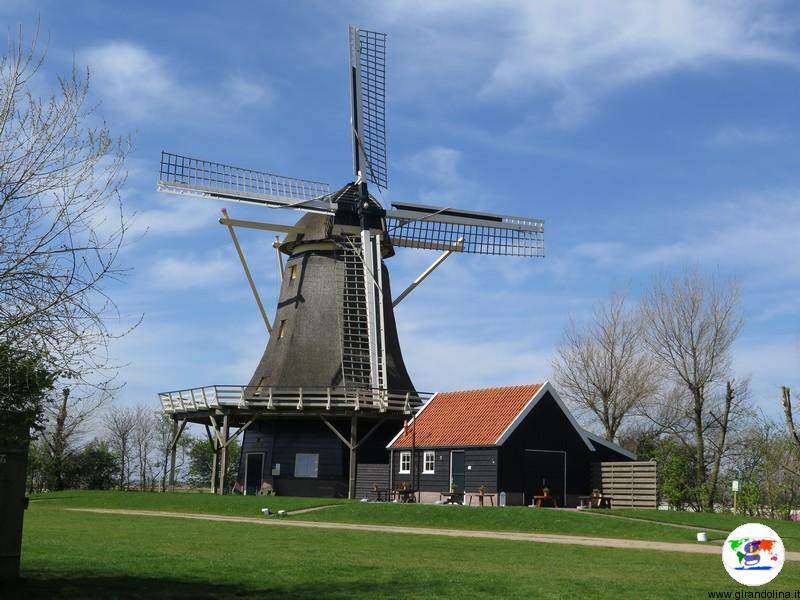 Kop van Noord-Holland, un mulino a vento