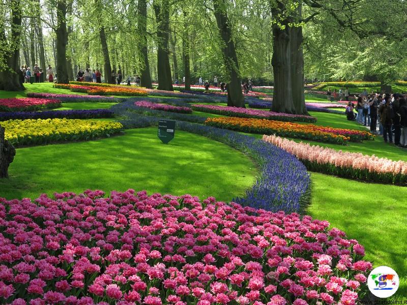 Keukenhof, il parco più bello del mondo