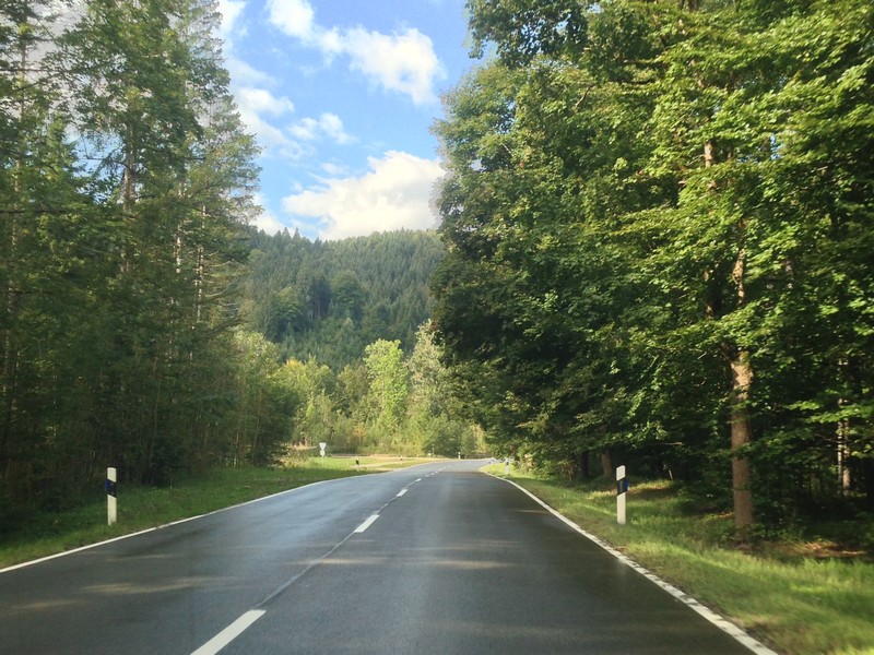 I viaggi on the road Italia, la strada in mezzo al bosco